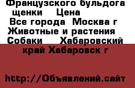 Французского бульдога щенки  › Цена ­ 35 000 - Все города, Москва г. Животные и растения » Собаки   . Хабаровский край,Хабаровск г.
